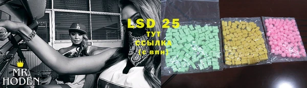 PSILOCYBIN Богородск