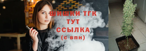 спиды Бородино