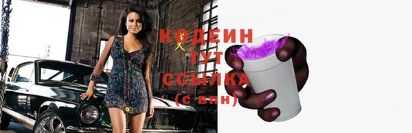 спиды Бородино