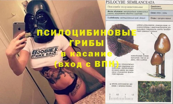 тгк Бугульма