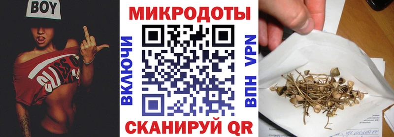 Псилоцибиновые грибы прущие грибы  Кирс 